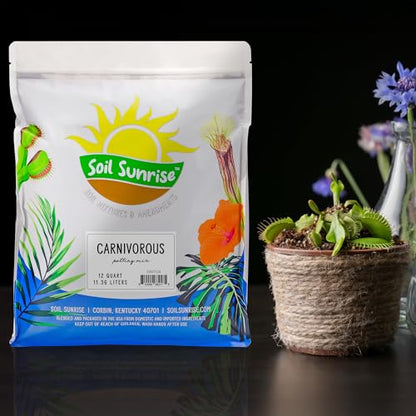 Soil Sunrise Carnivorous Plant Potting Soil Mix (12 Quarts) Custom Blend for Venus Fly Traps, Sundews, and Pitcher Plants - size: 12 Quarts