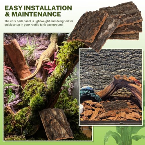 SOIMISS 5 Pcs Reptile Tank Background Cork Bark Sheets for Terrarium Tree Bark Decor Hide Log for Gecko Bearded Dragon Turtle and Lizard Enclosures 5.90 X 5.90 X 0.78 in