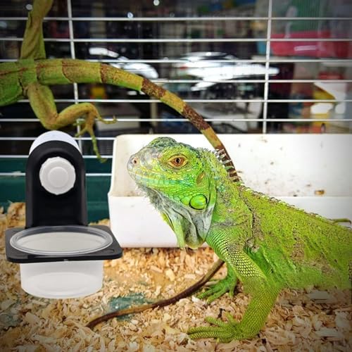 Double Crested Gecko Feeding Ledge with 10 Pcs 0.5oz Bowls & Detachable Suction Cup – Reptile Food & Water Dish Feeder for Lizards, Geckos, Chameleons, Turtles in Terrariums & Breeding Tanks