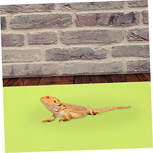 Happyyami 2pcs Reptile Carpet Mat and Washable Liner for Terrarium Bedding for Lizard Turtle Habitat and Non-Absorbent Material