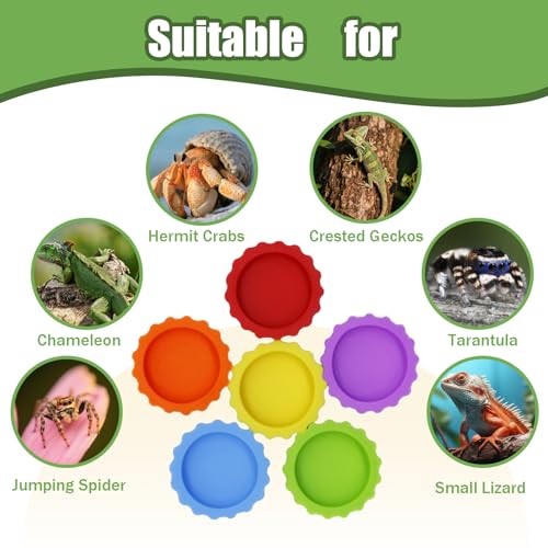 6 Pack Crested Gecko Food Dish, Gecko Food Bowl, Reusable Small Reptile Feeding Dish, Crested Gecko Tank Accessories for Hermit Crab,Turtle, Tarantula, Snake-6 Colors
