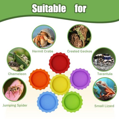 6 Pack Crested Gecko Food Dish, Gecko Food Bowl, Reusable Small Reptile Feeding Dish, Crested Gecko Tank Accessories for Hermit Crab,Turtle, Tarantula, Snake-6 Colors