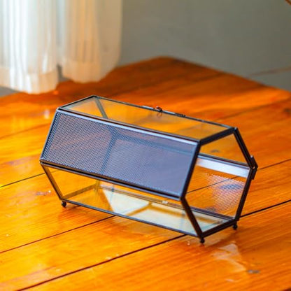 NCYP Small Glass Enclosure Terrarium with Mesh & Door for Tiny Beetle - Hexagon Jumping Spiders Vented Glass Terrarium 7.87'' x 4.52'' x 3.93'', Black (Plants Not Include) - size: 7.87'' x 4.52'' x 3.93''