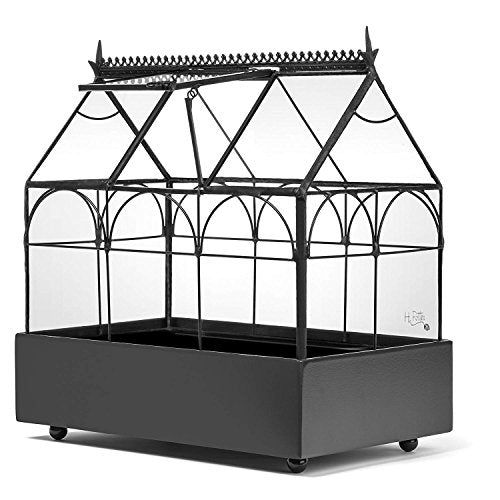 H Potter Glass Terrarium Wardian Case, with Hinged Roof 10.5" Tall | Indoor Tabletop Planter, Metal Base, For Succulents, Ferns, and Moss