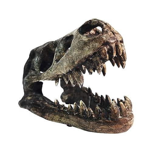Dinosaur Skull T-Rex Bones Resin Craft Statue for Home Office Shelf Decor Lifelike Tyrannosaur Head Sculpture Figurine Gifts Reptile Hide House Shelter Cave