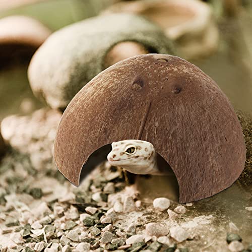 Woanger 6 Pcs Natural Coconut Reptile Hideouts, Coco Hut Hide Toys for Lizards, Geckos, Hermit Crabs, Snakes, Tarantulas, Small Reptile Habitat Decoration Supplies