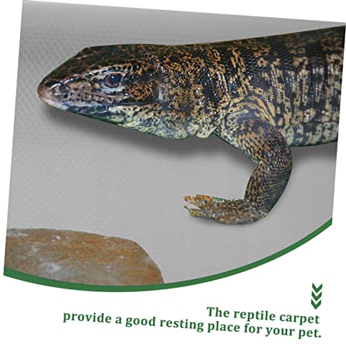 BESPORTBLE Reptile Carpet Mat for Bearded Dragons Snakes Lizards Tortoises Soft Terrarium Liner Easy to Clean Suitable for Reptile Tanks and Habitats