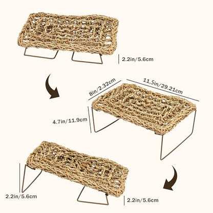 Bearded Dragon Hammock, Seagrass Reptile Basking Platform with Foldable Metal Frame, Collapsible Habitat Accessory for Leopard Gecko, Snake, Frog, Crab (2-Pack)