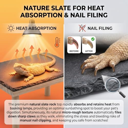 Bearded Dragon Basking Platform, Natural Slate Reptile Basking Rock with Wooden Climbing Ramp, Terrarium Habitat Decor for Lizard, Leopard Gecko, Tortoise, Snake (Medium) - size: Medium