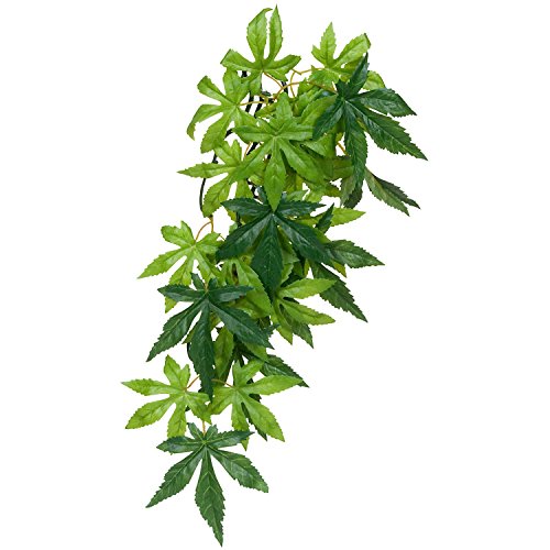 Exo Terra Silk Terrarium Plant, Small, Abutilon - size: Small