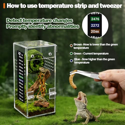 No Assembly 3mm Thick Acrylic Jumping Spider Enclosure,Magnetic Closure Front Door & 3-Side Ventilation, with Tweezers & Thermometer Strips,Ideal for Reptile Tank,Snail,Insect, and Tarantula Habitat - size: Habitat+Tweezers+Temperature strip