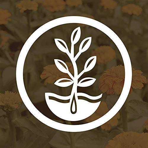 Mountain Valley Seed Co No-Till Farm and Garden Cover Crop Mix Seeds | 25 Lbs Bulk - Blend of Gardening Cover Crop Seeds: Hairy Vetch, Daikon Radish, Forage Collards, Triticale, More - size: 25 lbs