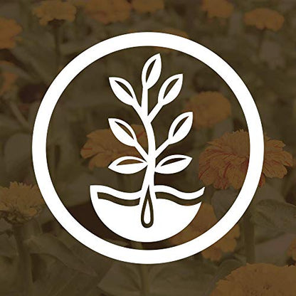 Mountain Valley Seed Co No-Till Farm and Garden Cover Crop Mix Seeds | 25 Lbs Bulk - Blend of Gardening Cover Crop Seeds: Hairy Vetch, Daikon Radish, Forage Collards, Triticale, More - size: 25 lbs