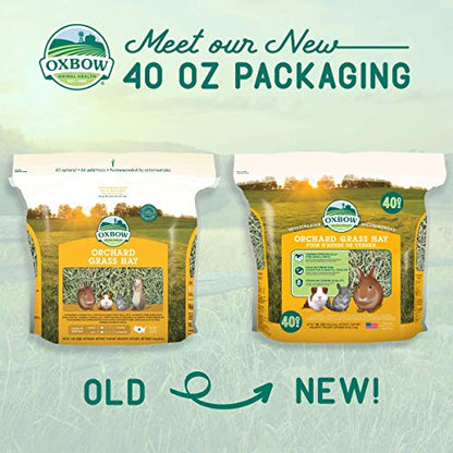 Oxbow Orchard Grass Hay for Small Pets – All-Natural Long Strand Fiber Hay for Rabbits,Guinea Pigs,Chinchillas,and Hamsters – Supports Digestive Health and Enrichment-– 40 oz Bag,(Pack of 2) - size: 40 Ounce (Pack of 2)