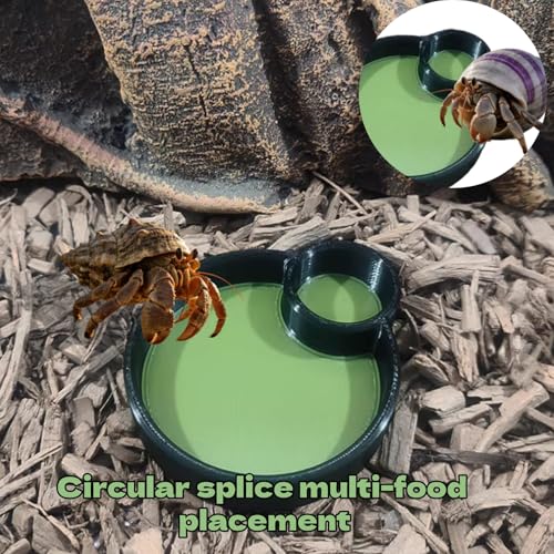 3Pcs Crustacean Care Bowl Dual Purpose Hermit Crab Feeders Water Dishes for Hermit Crab Snail Millipede and Small Reptile Pets