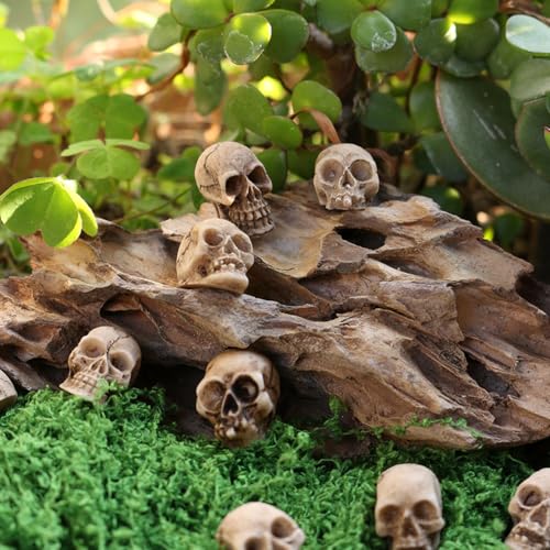 Mini Skulls Figurine Skeleton Head Miniatures for Halloween Decor, Skull Decor, Dollhouse Accessories for Halloween Decorations,40pcs