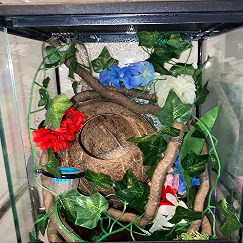 Crested Gecko Coconut Hut,Leopard Gecko Natural Coco Shell Den Reptiles Habitat Durable Hanging Cave Hideouts Plants Climbing Decoration for Amphibians and Small Animals(4 Pcs)