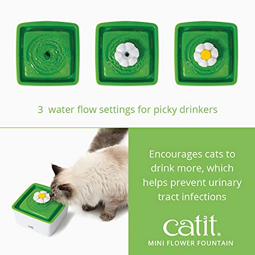 Catit 2.0 Mini Flower Drinking Fountain – Cat Water Fountain with Triple Filter and Ergonomic Drinking Options,Green - style: Mini water Fountain