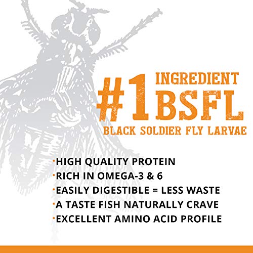 Fluval Bug Bites Goldfish Fish Food, Pellets for Medium to Large Sized Fish, 3.53 oz, A6584 - size: 3.5 Ounce (Pack of 1)