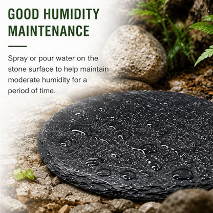 Natural Slate Reptile Basking Platform Feeding Stone for Tortoise Gecko Terrarium Decor(Round Plate) - size: ROUND PLATE