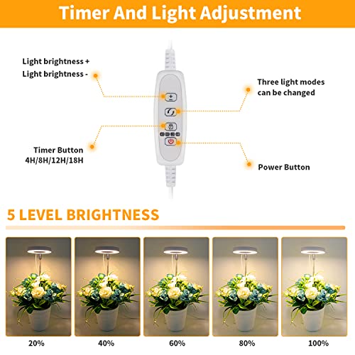 GooingTop LED Grow Light, Halo Plant Lamp for Indoor Plants Growing, White Low Light for Succulents Mini Small Plants Growth,Upgrade Timer 4/8/12/18 Hrs & Variable Spectrum,1 Pack