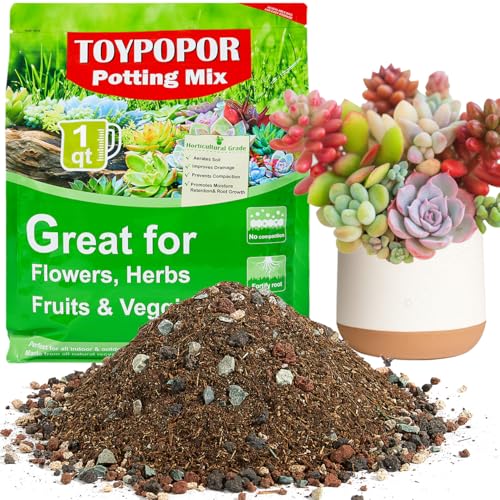 TOYPOPOR Succulent Soil, Cactus Potting Mix 1.25 Pounds/1 Quart, High Drainage, Pre-Mixed Ready to Use for All Succulent Varieties, Indoor Plants, Bonsai, Terrarium, Houseplant, 30% Particles 70% Soil - color: 30% particles + 70% soil, size: 1 qt