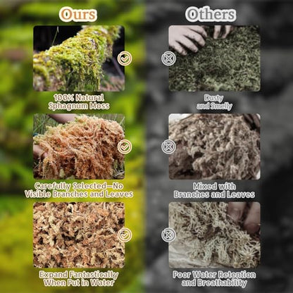 Riare 50QT Natural Sphagnum Moss for Reptiles 2.2LB Terrarium Reptiles Moss | Dried Terrarium Moss Bedding for Snakes Turtles Frogs Geckos Ball Pythons Lepard Gecko Lizards Bearded Dragon & Humid Hides - color: 2.2 LB