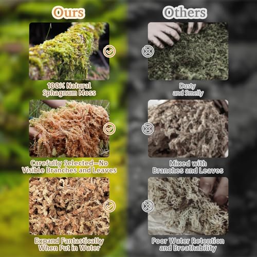 Riare 20QT Natural Sphagnum Moss for Reptiles 14OZ Terrarium Reptiles Moss | Dried Terrarium Moss Bedding for Snakes Turtles Frogs Geckos Ball Pythons Lepard Gecko Lizards Bearded Dragon & Humid Hides - color: 14 OZ
