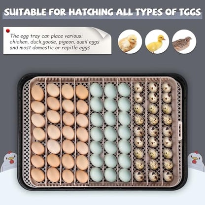 Sailnovo Incubators for Hatching Eggs 70 Egg Incubator with Auto Egg Turning and Auto Humidification, Temperature Control, Incubator for Chicken Duck Quail Eggs, Perfect for Lab School Farm, Grey
