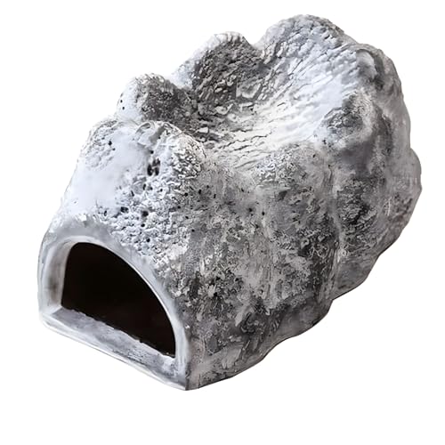 Exo Terra Wet Rock Moisture Retaining Ceramic Reptile Cave, Small - size: us size s