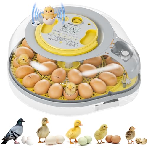 IBKINXX 26 Egg Incubator for Hatching Eggs with Smart Voice Guidance, 360° View with Automatic Temperature & Humidity Control, Auto Egg Turning & Built-in Egg Candler for Chicken, Duck, Goose & Quail