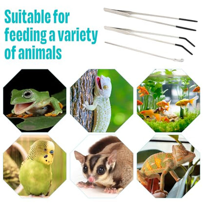 3 Pcs Stainless Steel Reptile Feeding Tool Set with 2 Rubber Tipped Tongs and 1 Crested Gecko Feeding Spoon, Crested Gecko Tank Accessories for Geckos, Lizards, Bearded Dragons, and Small Animals