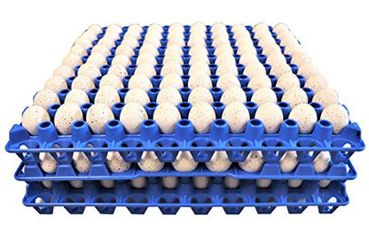 12 90 Egg Plastic Trays Quail Pigeon Dove Bird Flat Carton
