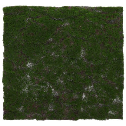 Artificial Moss Grass Turf Mat 30cm X 30cm Green Moss Patch for Terrarium Bonsai Reptile Habitat Indoor Decorative Faux Moss Carpet