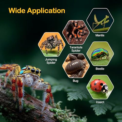 Jumping Spider Enclosure Starter Kit,Escape Proof Forest Terrarium | Praying Mantis Terrariums,Transparent Acrylic Complete Bug Habitat,All In One Arboreal Tarantula Cribs Cage,Insect Container - size: Large