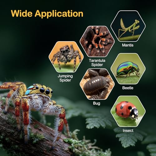 Jumping Spider Enclosure Starter Kit,Escape Proof Ocean Terrarium | Praying Mantis Terrariums,Transparent Acrylic Complete Bug Habitat,All In One Arboreal Tarantula Cribs Cage,Insect Container - size: Small