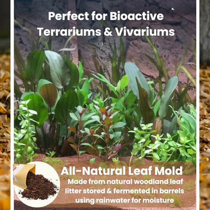 SCOTTY'S BUGS All Natural Leaf Mold for Bioactive Terrariums & Vivariums – Perfect for Isopods, Springtails, Amphibians & Reptiles – 12oz. Pack - size: 12oz-LeafMold