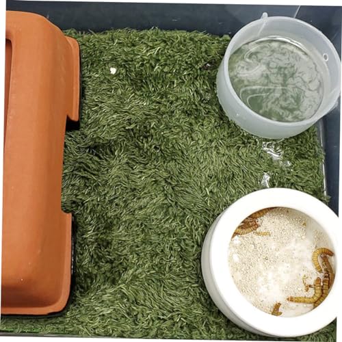 LIOOBO Reptile Moss Carpet for Terrarium Absorbent Faux Lawn Mat for Amphibians and Reptiles Comfortable Resting Place Green for Crawling Pets and Tortoise Habitats