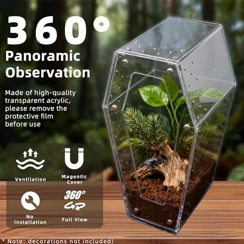 Jumping Spider Enclosure, No Installation Insect Terrarium with Magnetic Door & All-Side Ventilation, Bug Enclosure for Tarantula, Snail, Beetle and Small Reptiles