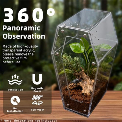 Jumping Spider Enclosure, No Installation Insect Terrarium with Magnetic Door & All-Side Ventilation, Bug Enclosure for Tarantula, Snail, Beetle and Small Reptiles