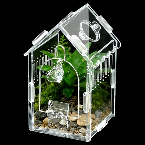 Jumping Spider Enclosure 3.15"×3.15"×5.6" - Magnetic Front Opening Acrylic Terrarium with Ventilation, Escape-Proof Habitat for Tarantulas, Mantis & Small Reptiles, No-Tool Easy Assembly
