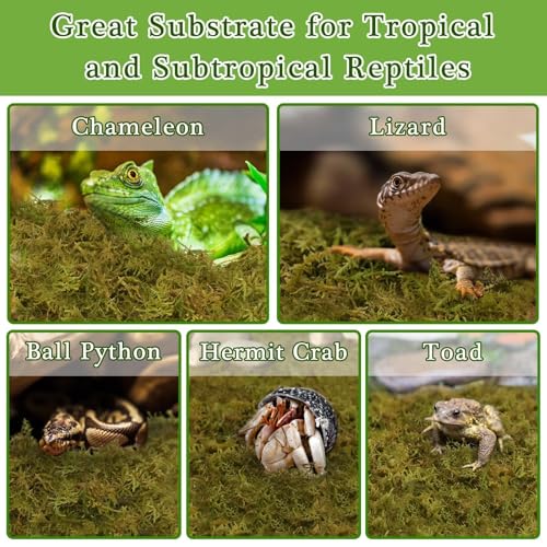 Halatool 9OZ Sphagnum Moss & 2-Pack Coco Chips Substrate for Reptiles, Terrariums, Humidity Retention, Bedding, Nesting & Burrowing