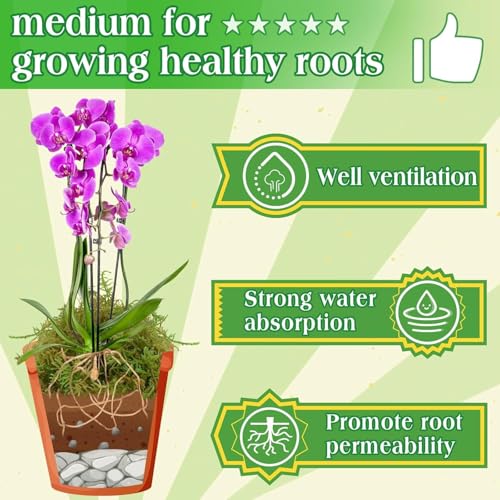 Halatool 2.2LBS Forest Green Moss for Indoor Potted Plants, Orchid Potting Mix, Indoor Potting Plant Moss for Repotting Terrariums Garden Reptiles - size: 2.2lb
