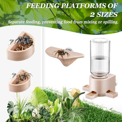 6 Pcs Jumping Spider Accessories, Mushroom Ledges & Feeding Dish and Water Dispenser, Magnets Jumping Spider Enclosure/Habitat Decor for Small Animals, Geckos, Tarantulas