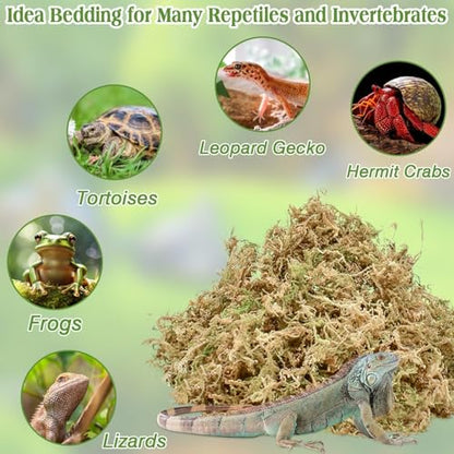Halatool 1.1LB Sphagnum Moss for Reptiles(Turtles, Geckos, Snakes, Frogs, Hamsters), Natural Forest Long Fibered Dried Moss Bulk for Reptiles Substrate & Bedding - 25QT Reptile Habitat Accessories - size: 1.1 LB