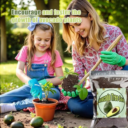Organic Avocado Tree Potting Soil Mix 1qt, Enhance Growth and Transplant Success for Avocado Plants - size: 1qt