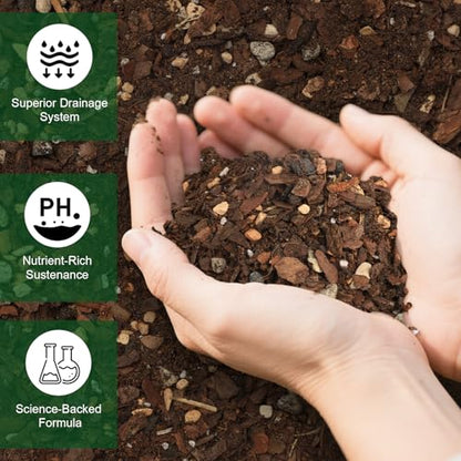 Doter Premium Bonsai Soil Mix with Enhanced Aeration & Drainage 2qt - Professional Grade Potting Soil for Bonsai Pots - color: Bonsai Soil, size: 2qt