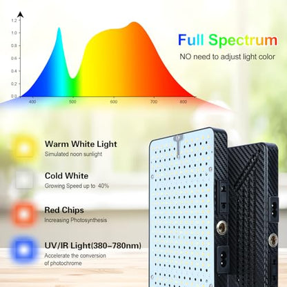FECiDA 2026 Desk Grow Lights for Indoor Plants, Full Spectrum Tabletop Grow Lights for Seed Starting, Seedlings, Bonsai, 5 Modes 4/8/12/16/20 Hr Timer, 25 Watt Bright Enough, 16"-24" Height Adjustable - size: TableTop-1Head-25W-Timer