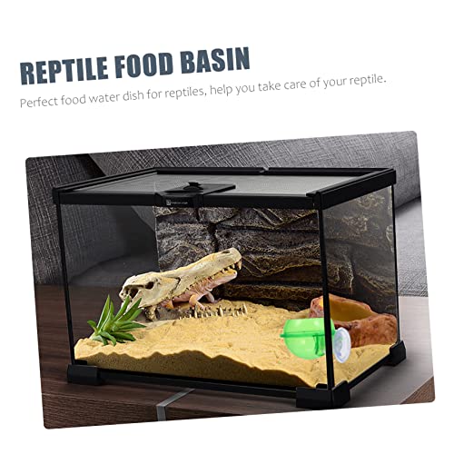 FOMIYES 4pcs Magnetic Reptile Food Feeder Hanging Gecko Feeder Suction Cup Easy Clean Turtle Feeding Tray