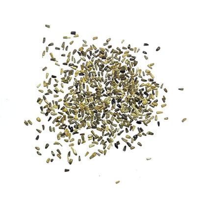Seed Needs Chicory Seeds to Plant Italian Dandelion Blue Flowers 5 Packs - size: 5 Packs, style: Italian Dandelion